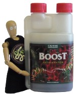 BOOST ACCELERATOR by Canna